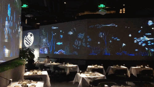 超酷炫杭州有一家3d裸眼全息投影餐厅360无死角更有西餐大厨坐镇超高