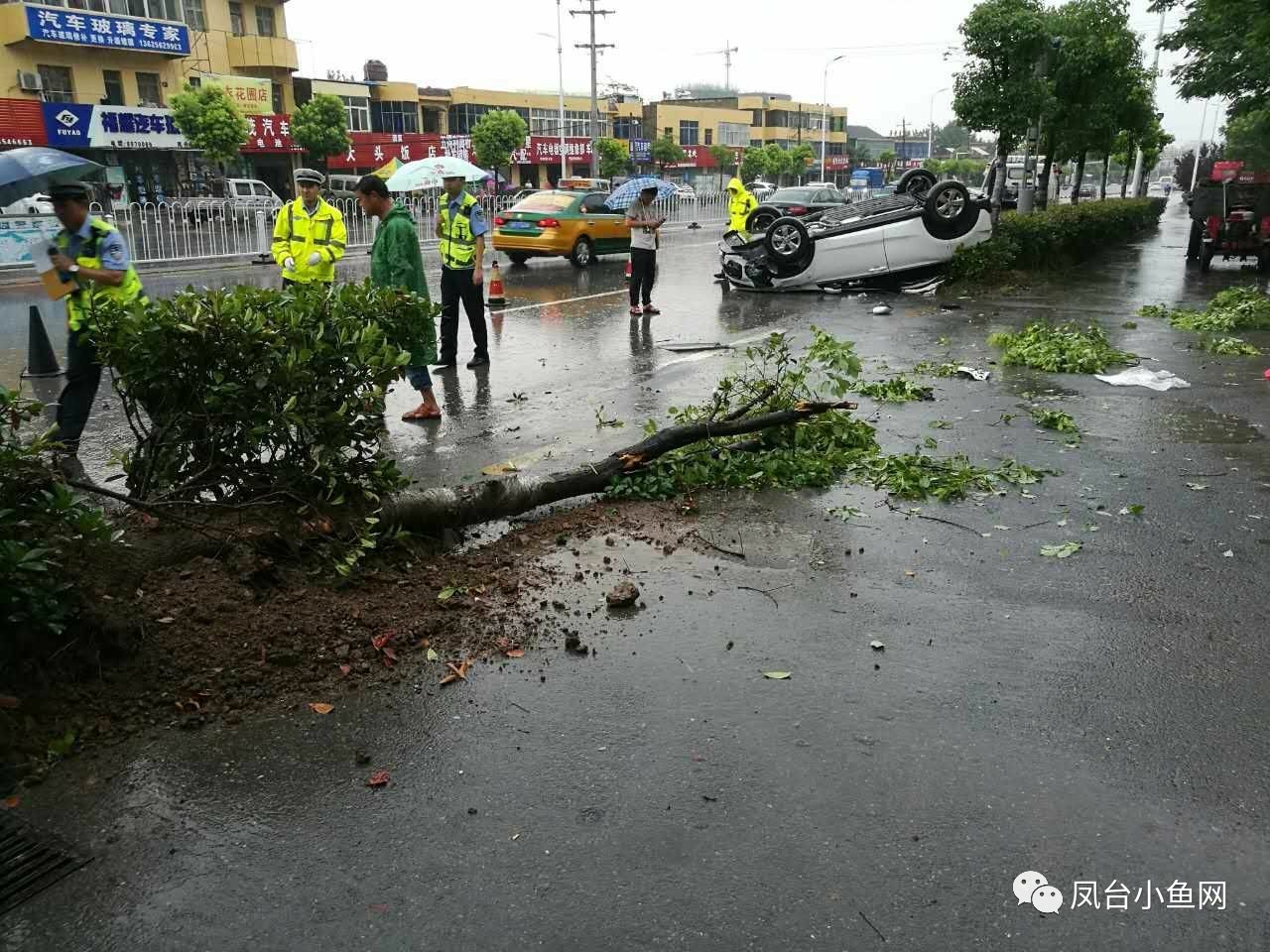 淮河大桥路段一轿车撞树翻车,提醒广大车友雨天注意安全