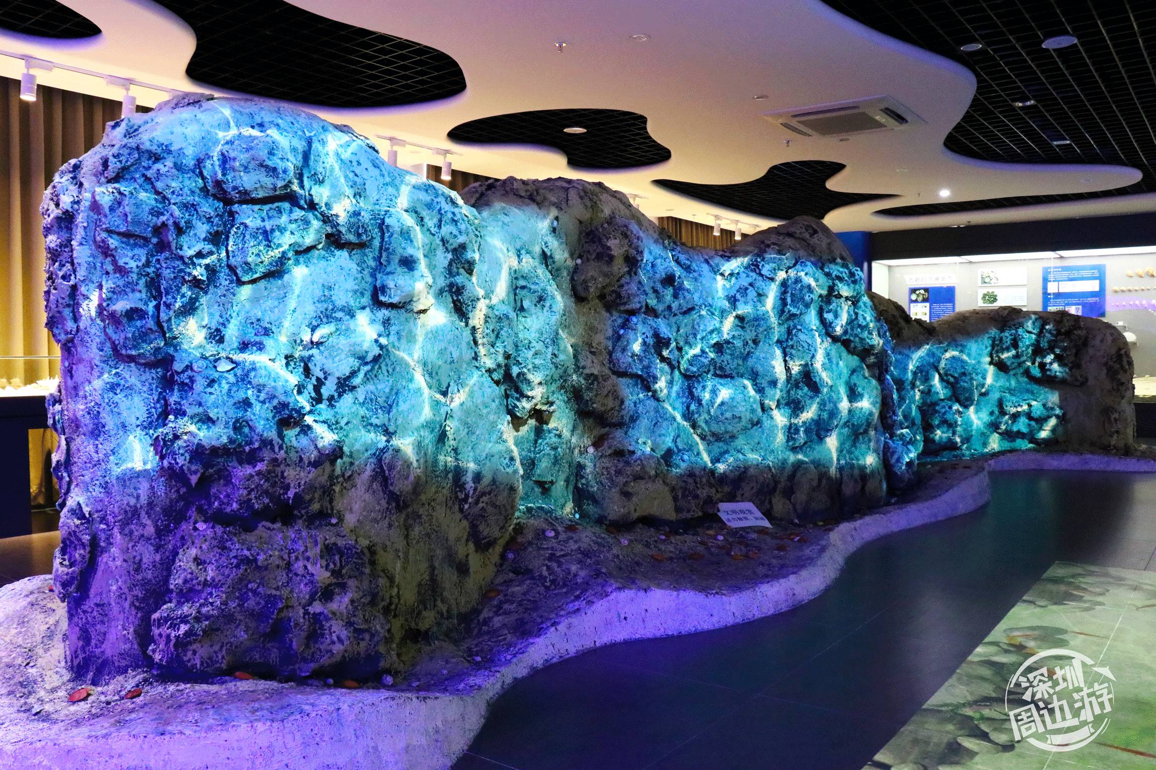 深圳蛇口海洋博物馆终于开馆,海底世界美翻