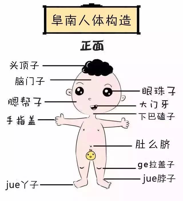 阜南人口结构_阜南一中