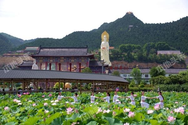 洛阳灵山莲花水城第四届莲花文化节昨日开幕