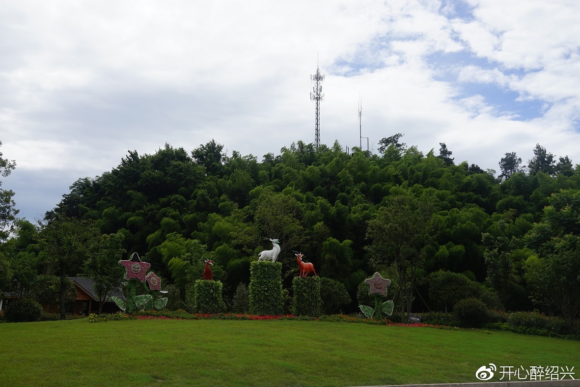 行走绍兴美丽乡村里渚棠棣村