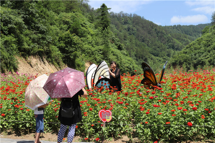 7月7日上午,湖北省十堰市张湾区首届"花果山花儿节"暨花果山花雾人间