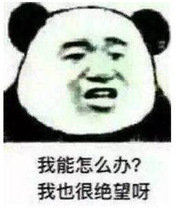 终于有一档栏目,让孩子沉迷于学习无法自拔!