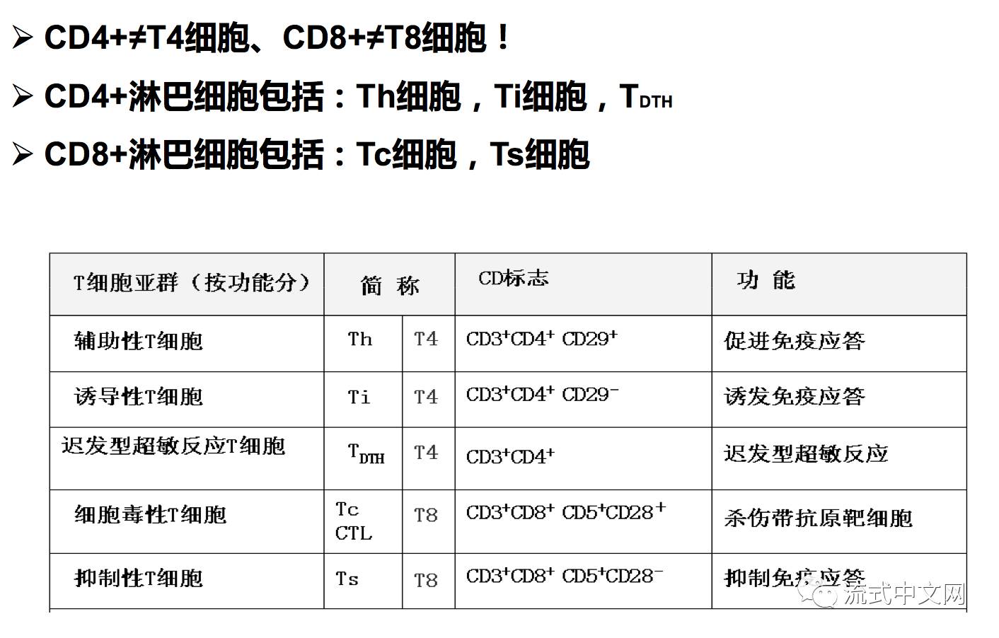 一个需要澄清的概念—cd4≠th,cd8≠tc