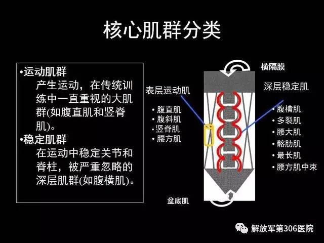 神经反射与核心肌肉力量训练