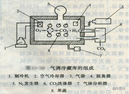 果蔬冷库厂家低温保鲜原理