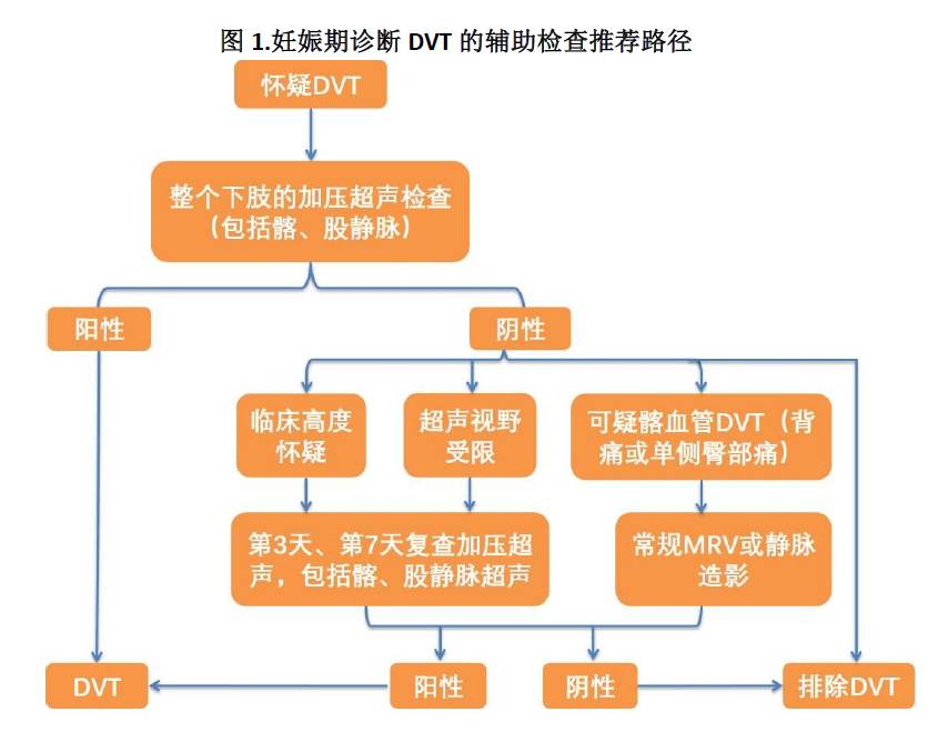 妇产快报bmj妊娠期深静脉血栓的诊断与治疗