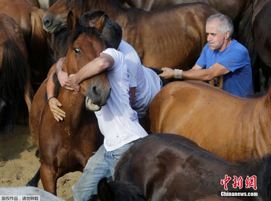 马仰人什么成语_马的标志是什么车(3)