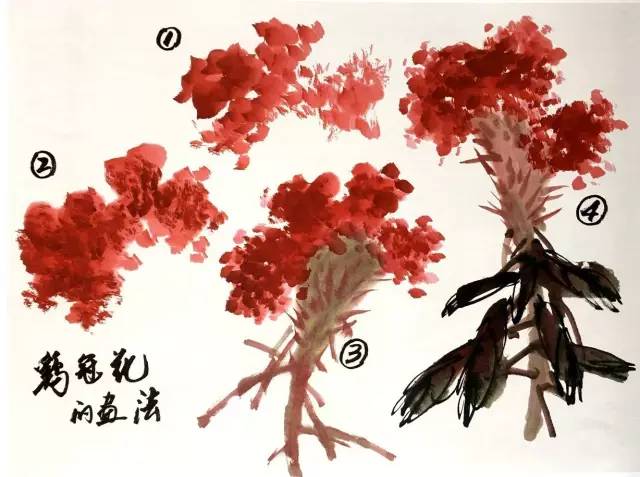 徐湛花鸟画教学:鸡冠花和枇杷的画法