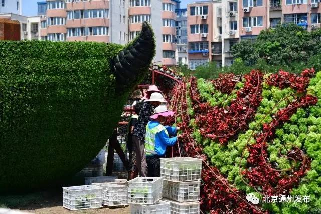 果园环岛大变样!新建一塔一桥景观美爆了!