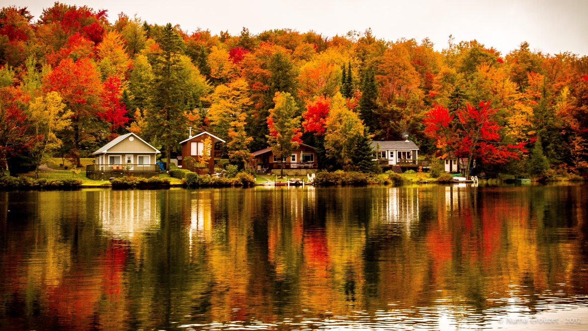 加拿大素有"枫叶之国"的美誉,每到深秋时节,漫山遍野火红的枫叶宛如一