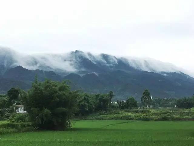 【奇景】云瀑现身巴岳山,美哉!