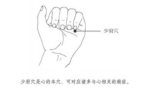 左右手图片