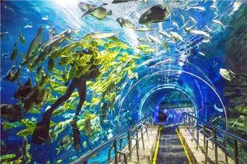 太平洋汉海海底世界博览馆