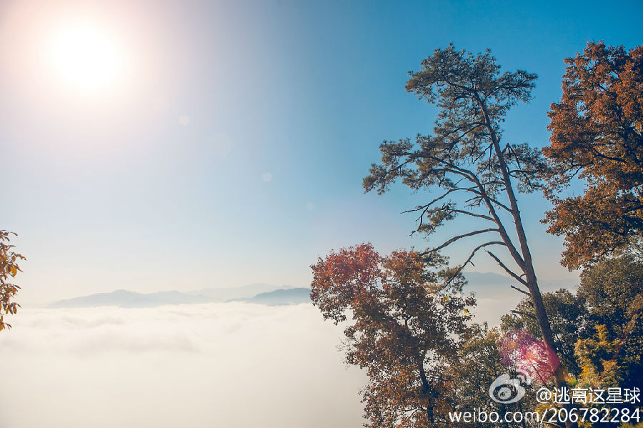 顺昌合掌岩