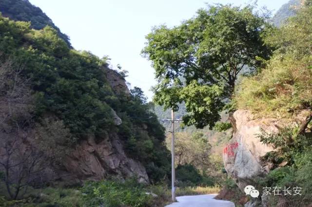 秦岭原生态草甸,湿地,黑龙潭,纳凉散心玩水杨庄库峪红庙子!