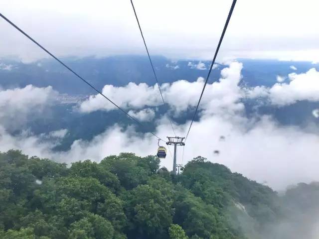 【旅游】20℃左右,这周末去老君山避暑吧,还有音乐露营节.