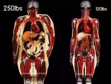 当bmi下降5%,身体会发生怎样的改变?