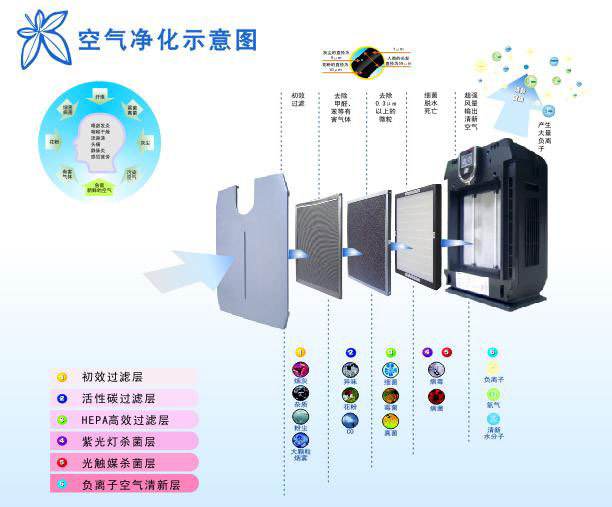 空气悬浮是什么原理_什么是悬浮肚