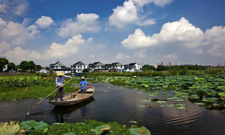 漫游甪直澄湖的水八仙生态文化园,沉浸在开阔的湿地水景中,拥有氧气般