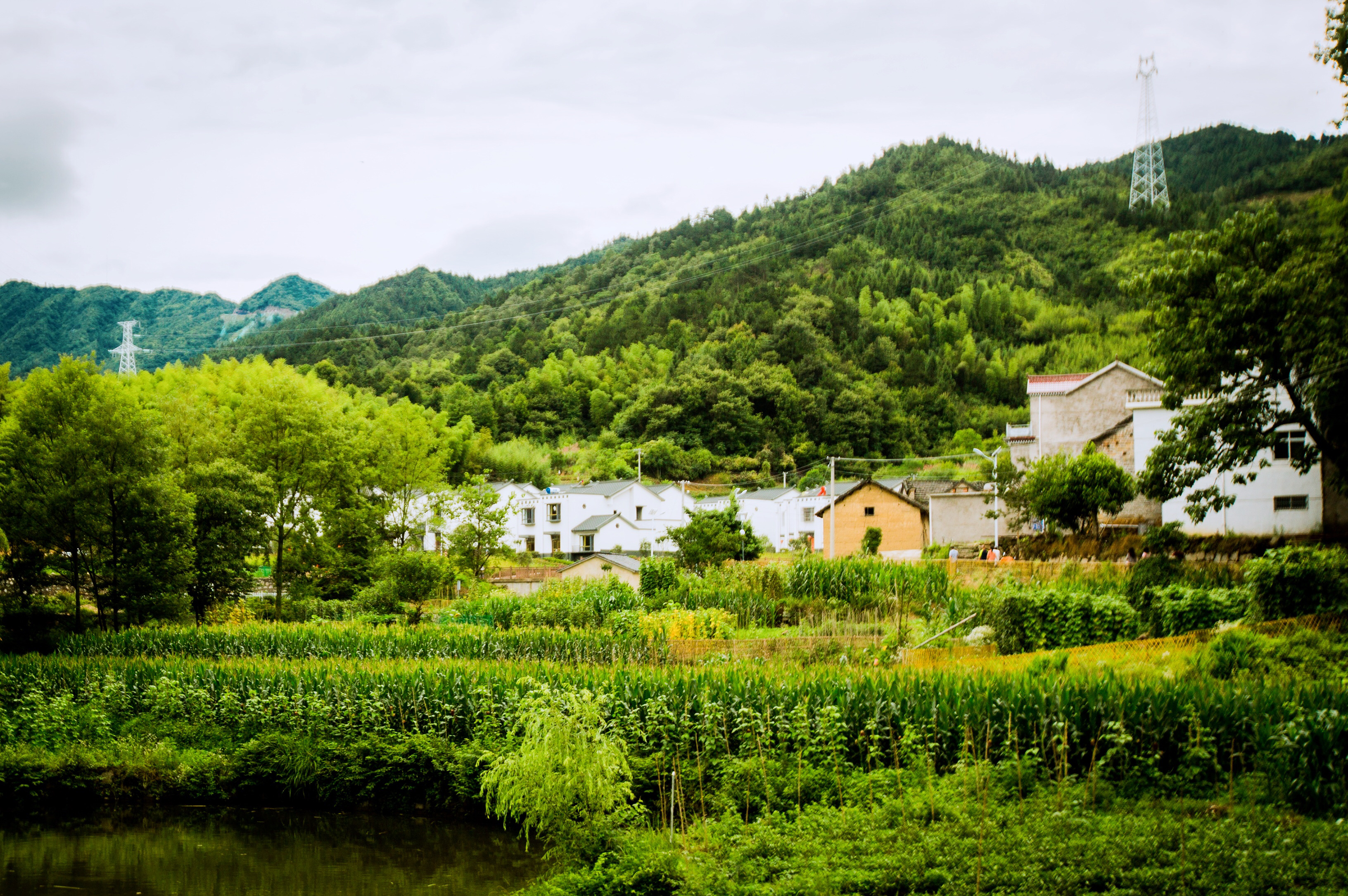 滋养革命的沃土:花石乡大湾村