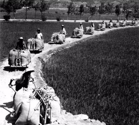 1959年萧山改属了杭州市