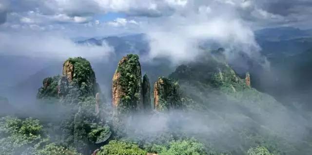 浦江美景|| 没有大山大水,也足以一眼惊艳你