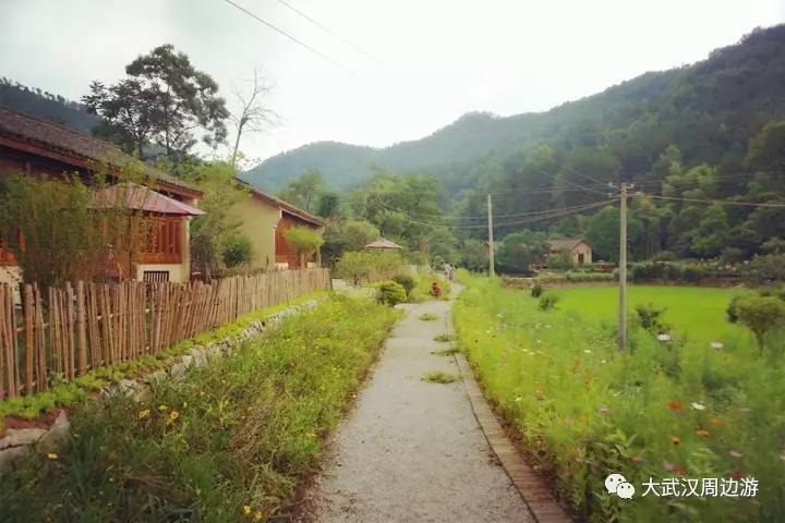 罗田这个700年古村里有家高颜值民宿,私藏美景独家视频你看完今晚就想