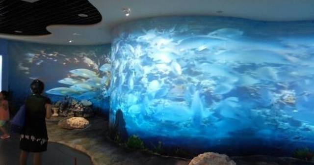 太好了!深圳海洋博物馆免费开放,海底世界美到哭!