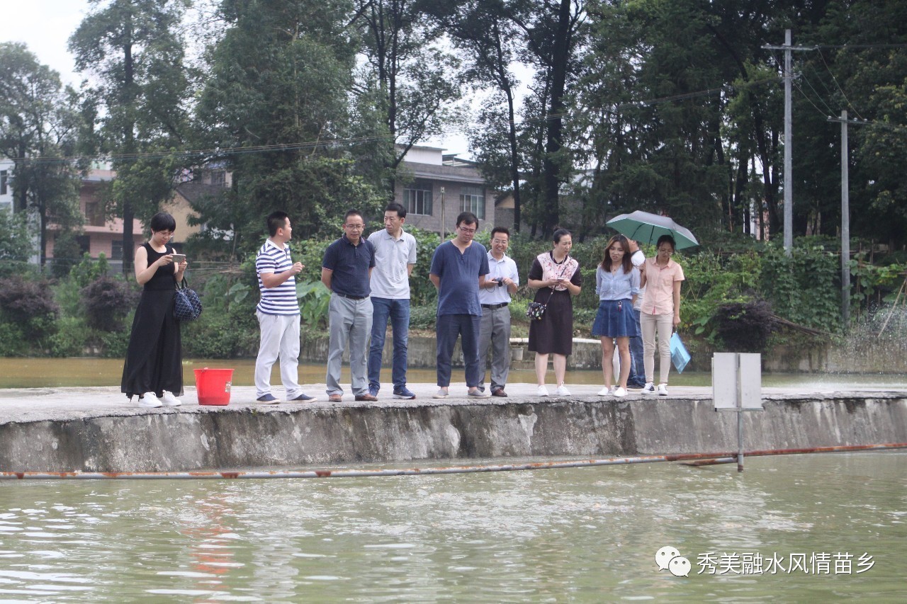 融水人口有多少人_融水旅游复苏啦 黑饭节 千人游融水,场面十分壮观(2)