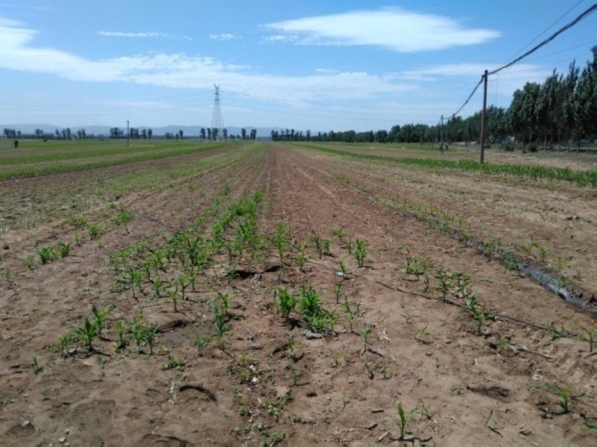农业气象丨7月需关注南方农田渍涝害、高温热