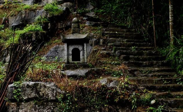 每日一景|走进杨梅古寨景区