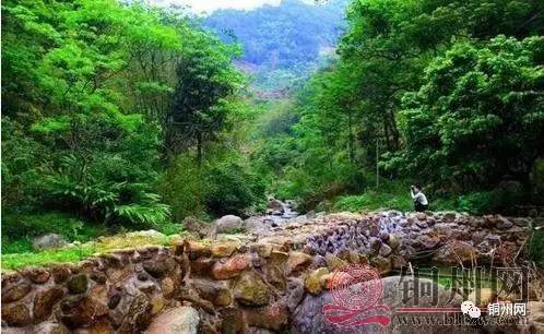 北流居然还有如此美的小村落--世外桃源古哿村