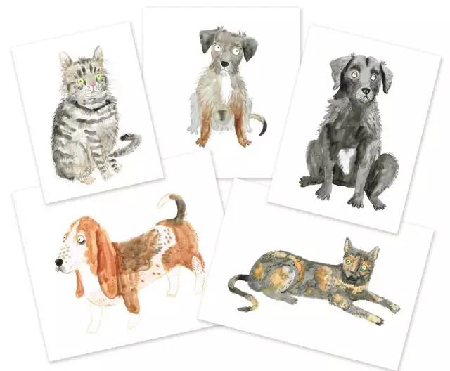  Discovering Unique Pets Art Near Me: A Guide to Local Pet-Themed Artworks