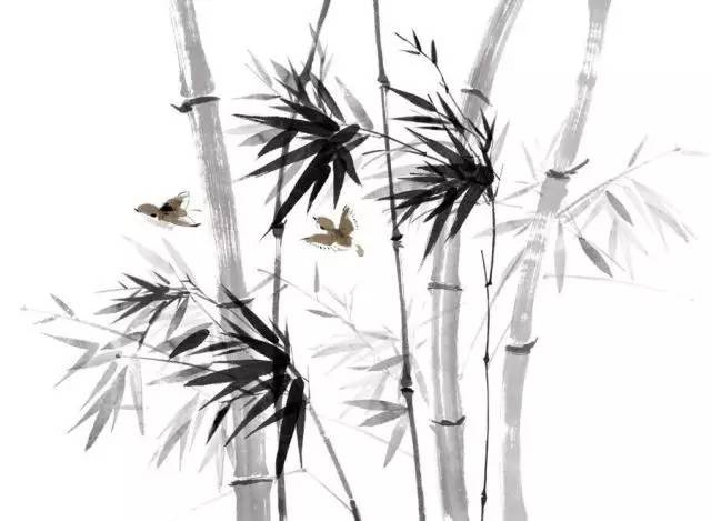 bamboo and birds