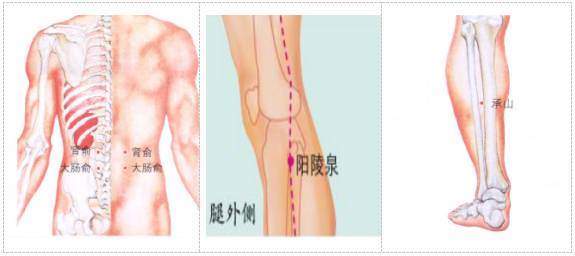 成语承什么膝_成语故事图片(3)