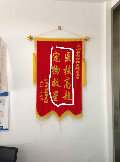 最近一家宠物医院收到的锦旗,谁给翻译一下?