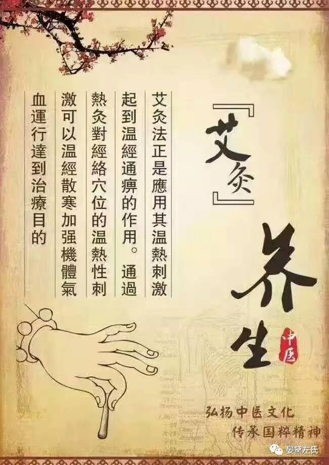 左氏内衣(2)