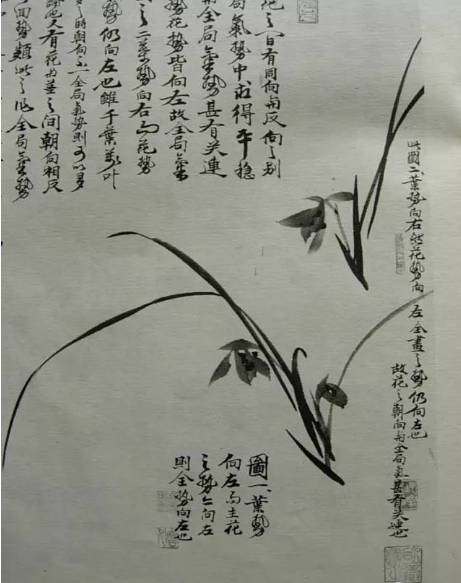 兰花姿态组合及画法步骤兰叶起手式那么兰花的绘画技法有哪些呢?