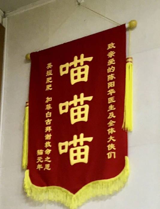 最近一家宠物医院收到的锦旗,谁给翻译一下?