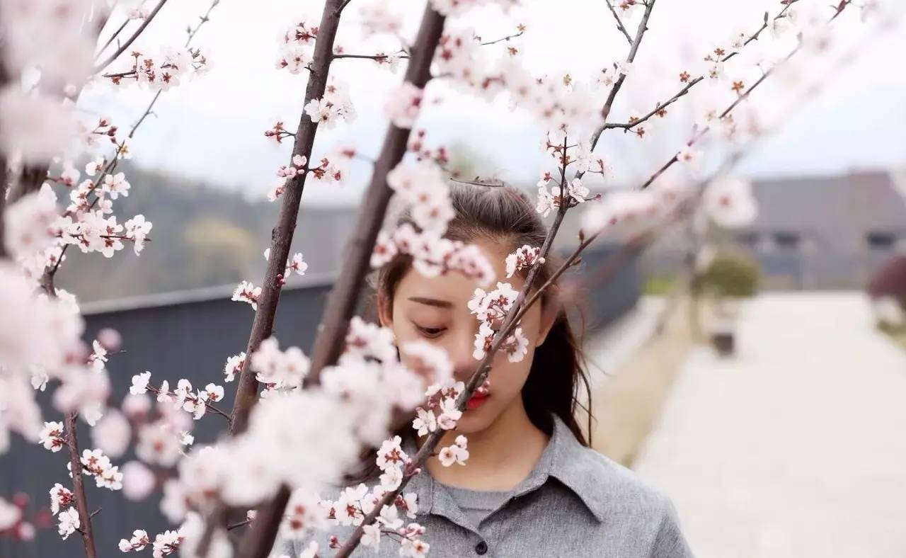 昨晚,这个19岁的绍兴女生彻底火了 一首歌唱得陈奕迅眼红,刘欢落泪 