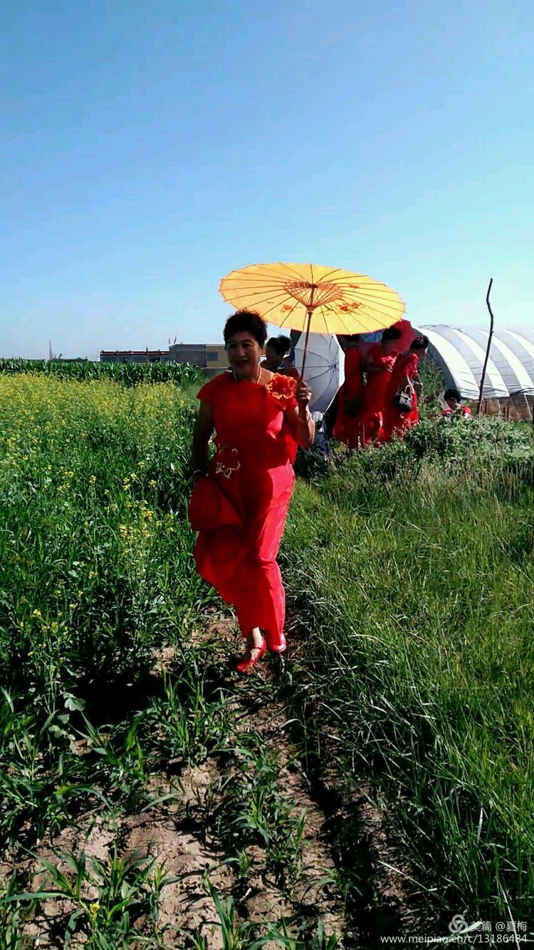 怀仁这里大片油菜花还有一群美女都来看看哇