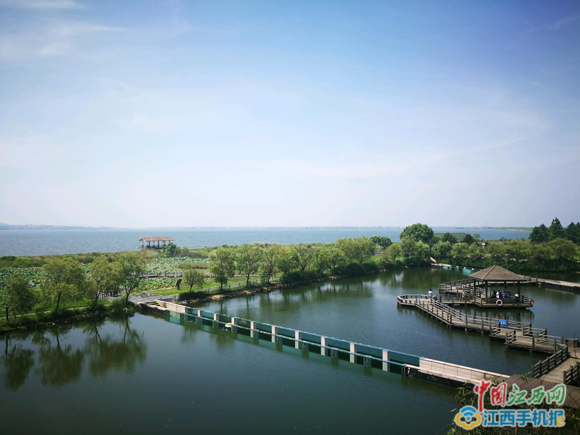2021鄱阳湖国家级自然保护区-旅游攻略-门票-地址-问答-游记点评，九江旅游旅游景点推荐-去哪儿攻略