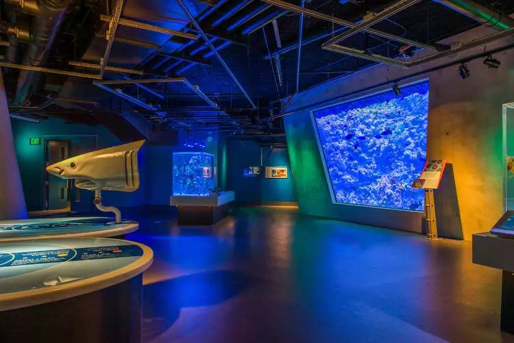 迈阿密出现了一种全新科学博物馆,它只想给你奇妙体验