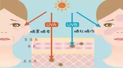 黑的人口红_庆阳最新人口数据公布,环县人口(2)