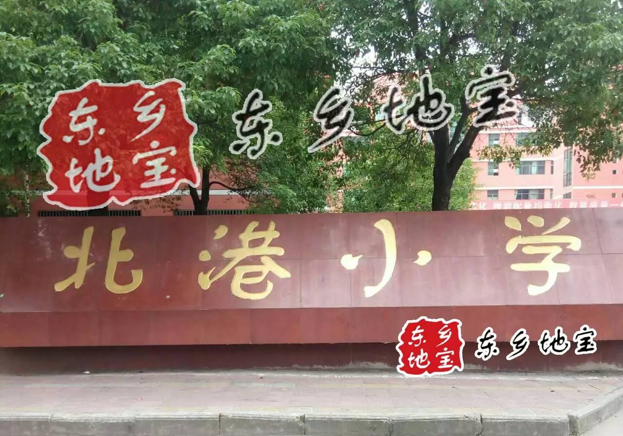 公布,公布,东乡县初中,小学, 招生范围规划公布!