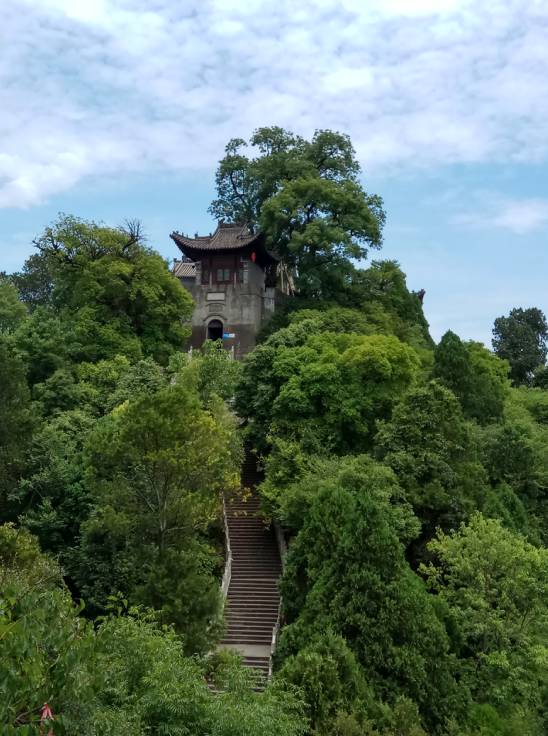 闲坐松海听柏浪,风打云岺.