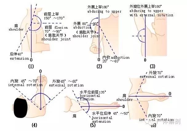 基础必备!肩,肘,腕关节的查体要点