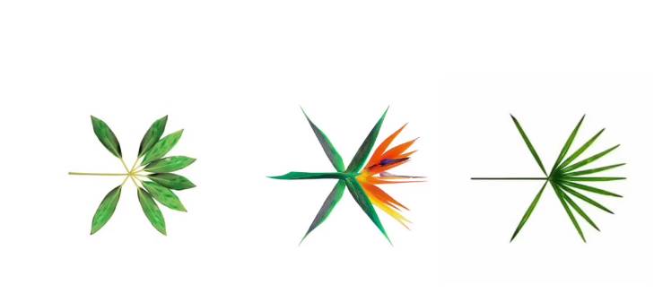 长知识!exo植物系新logo 含意深远?